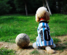 凝心聚力，筑梦民生——易家人商城的团队建设与企业文化